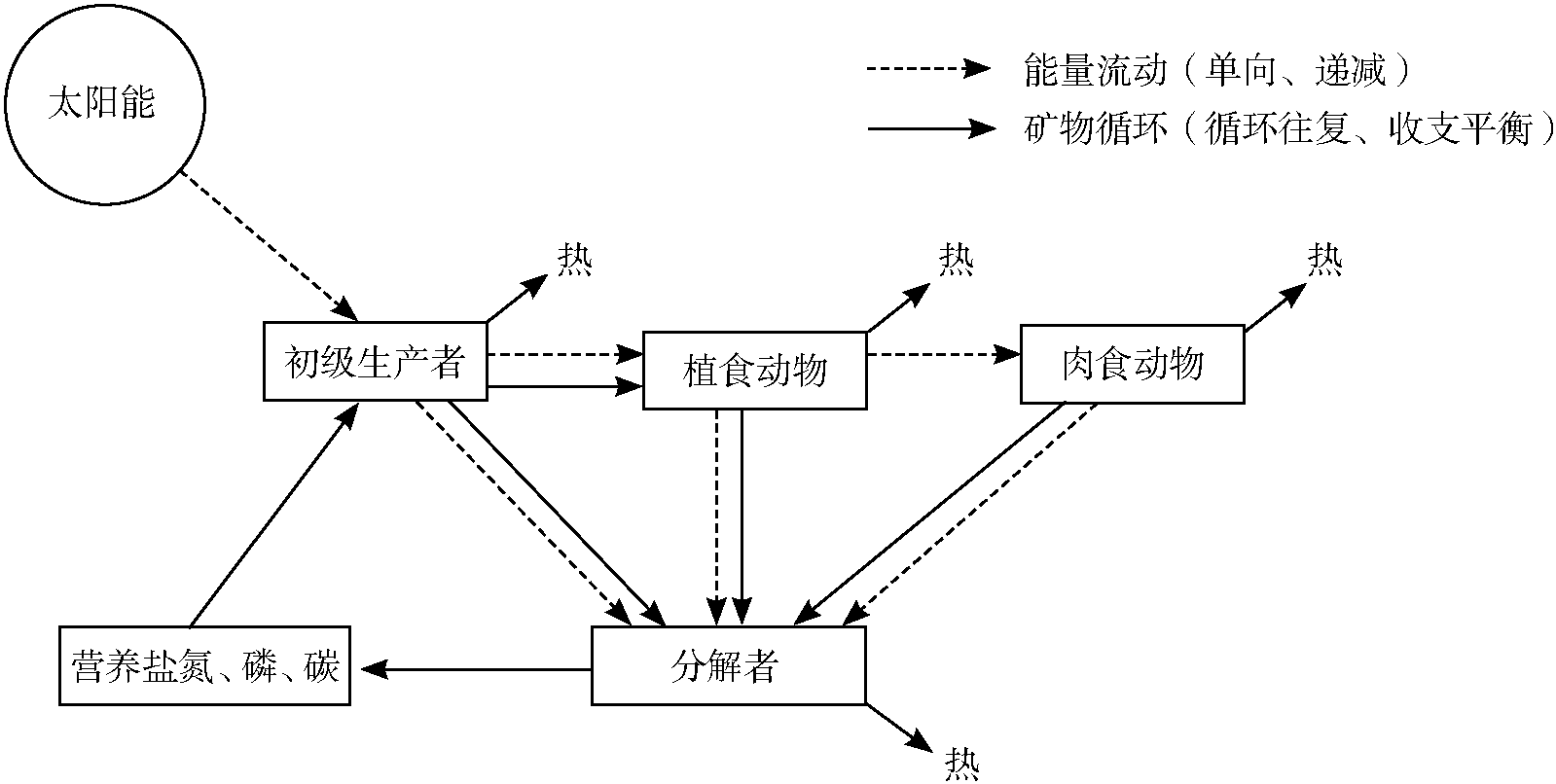 四、生態(tài)系統(tǒng)的功能